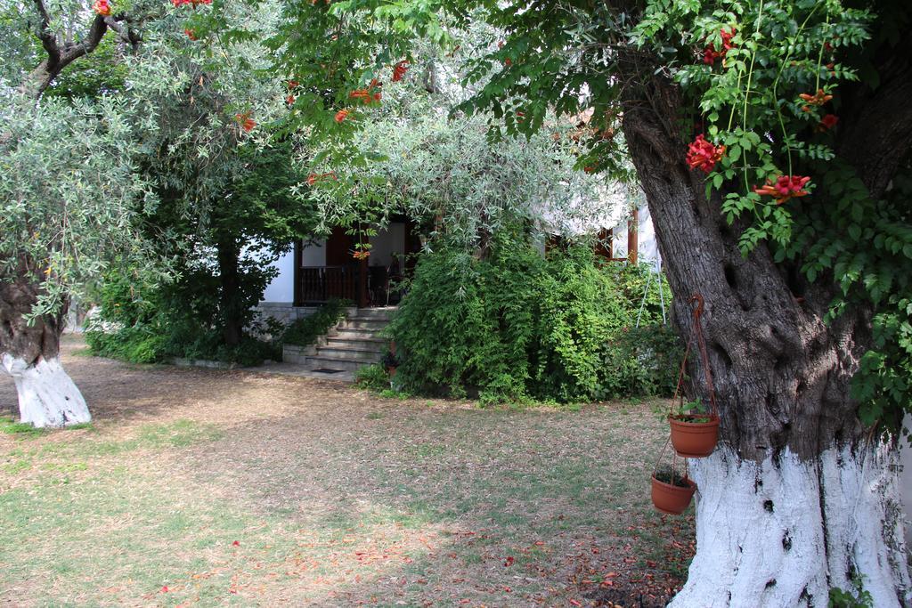 Patroudis House Appartement Skala Rachoni (Thasos)